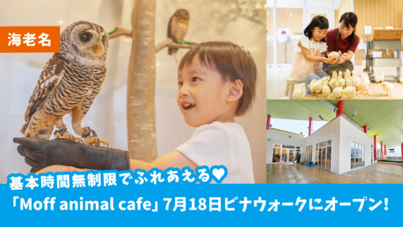 【開店・海老名】時間無制限でたくさんの動物とふれあえるカフェ☆「Moff animal cafe」7月18日ビナウォークにオープン！
