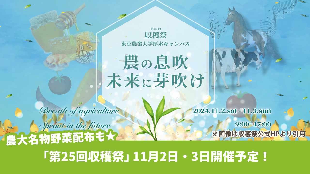 野菜配布も！東京農業大学厚木キャンパス「第25回収穫祭」11月2日・3日に開催予定。厚木市船子