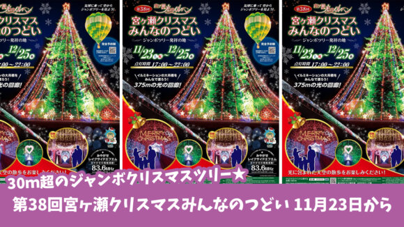 宮ヶ瀬イルミネーションクリスマス