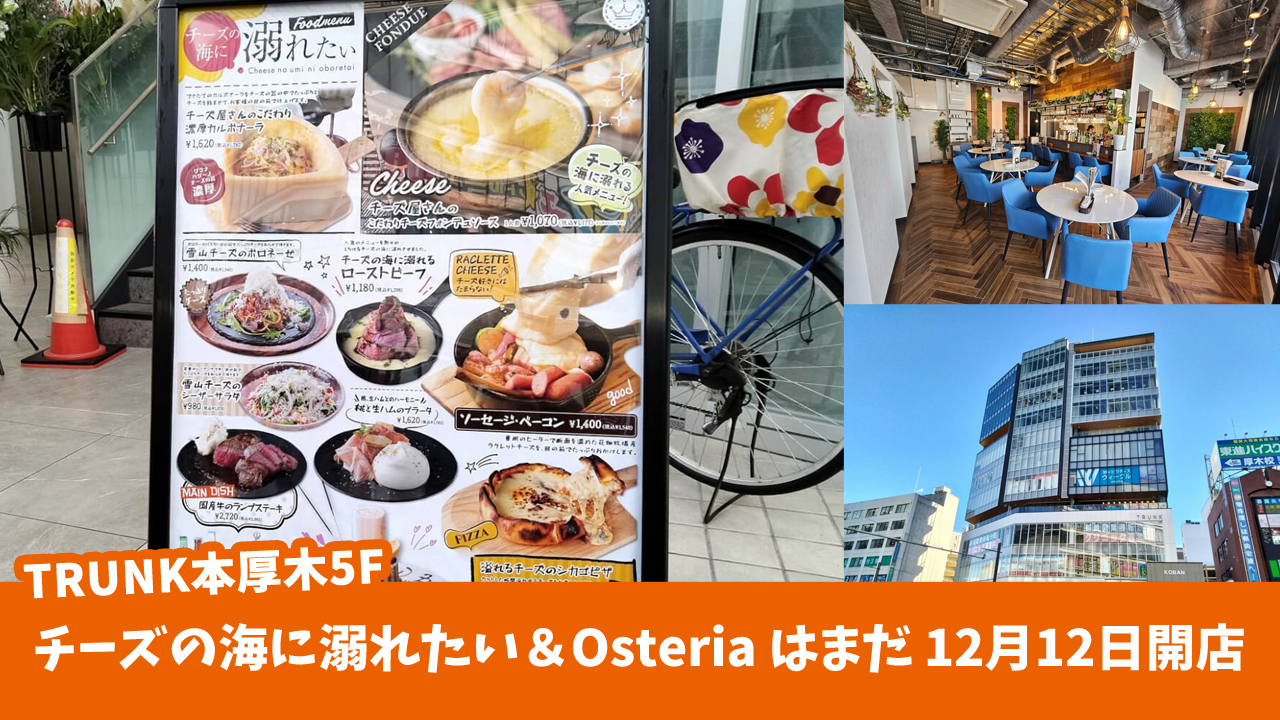 「チーズの海に溺れたい」＆「Osteria はまだ」本厚木駅前にオープン