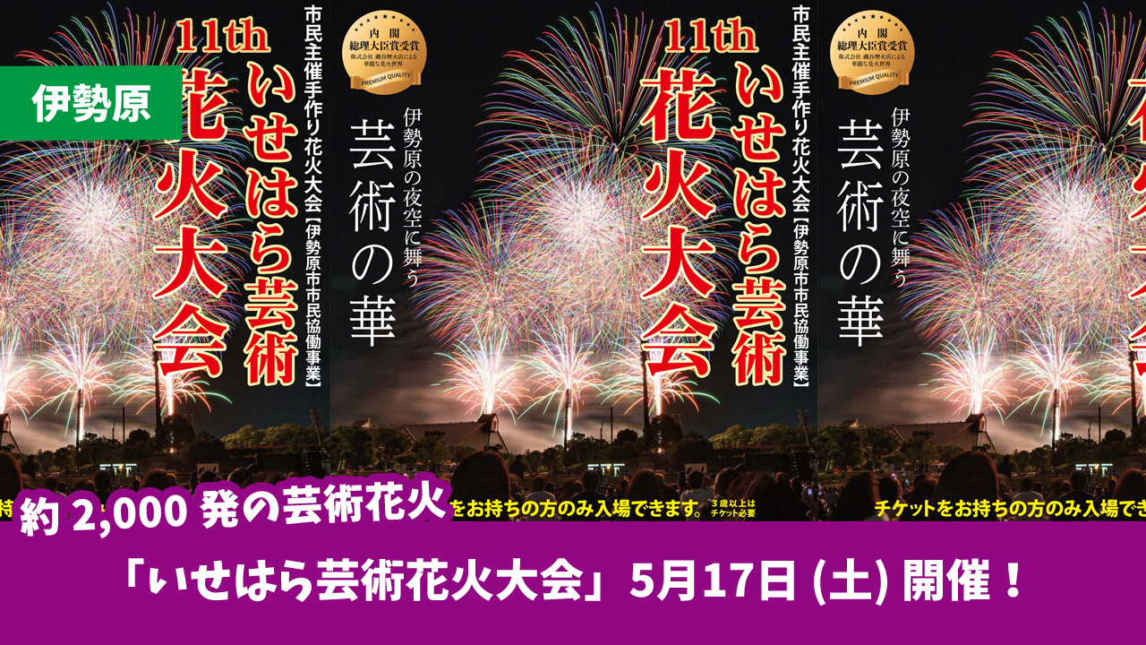 伊勢原　花火　花火大会　伊勢原市総合運動公園