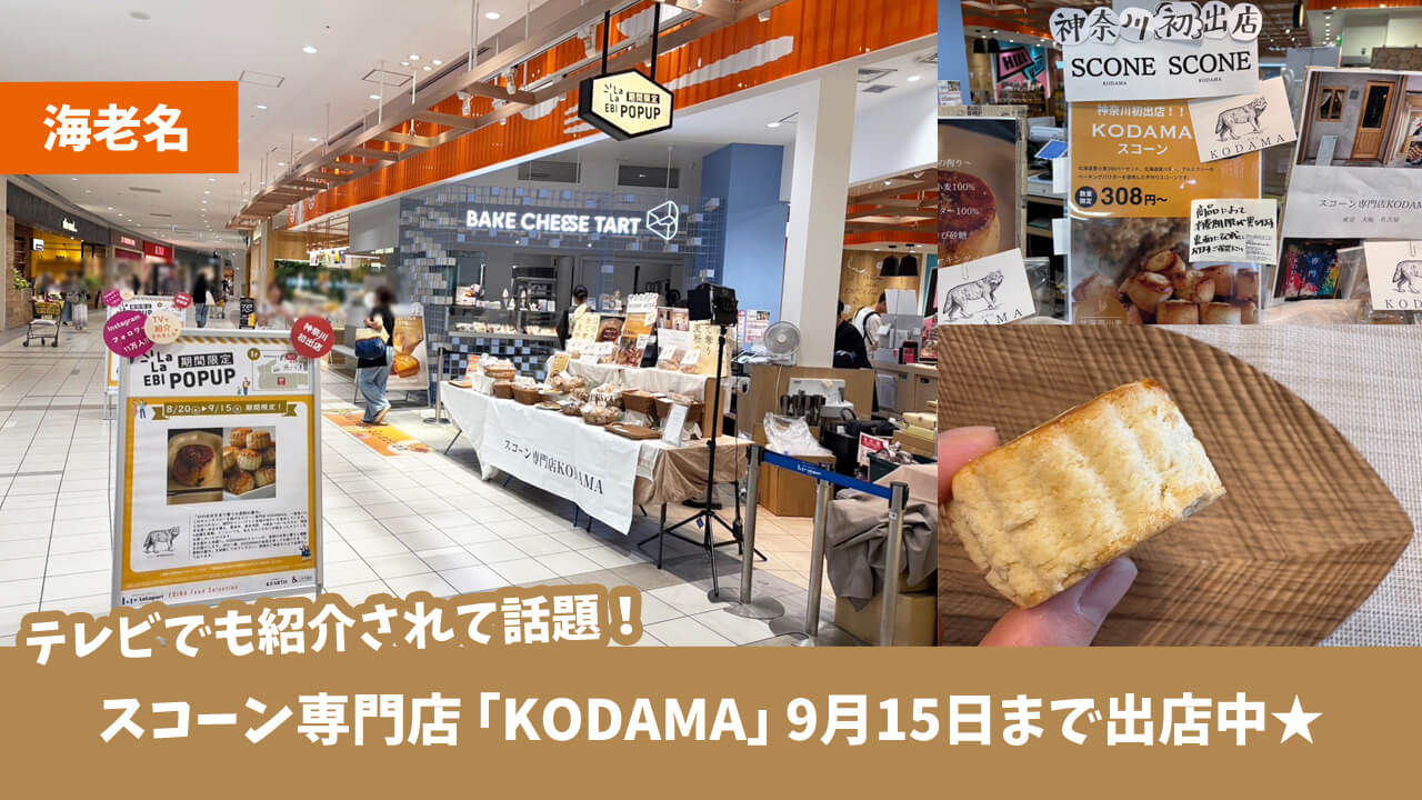 KODAMA　スコーン　ららぽーと海老名　海老名駅