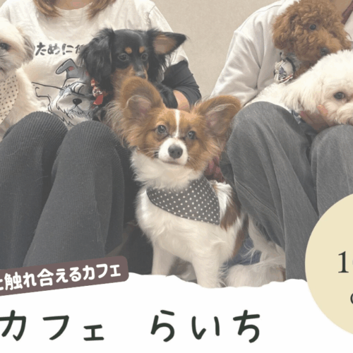 犬カフェ 本厚木 厚木市