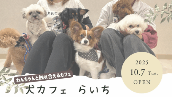 犬カフェ　本厚木　厚木市