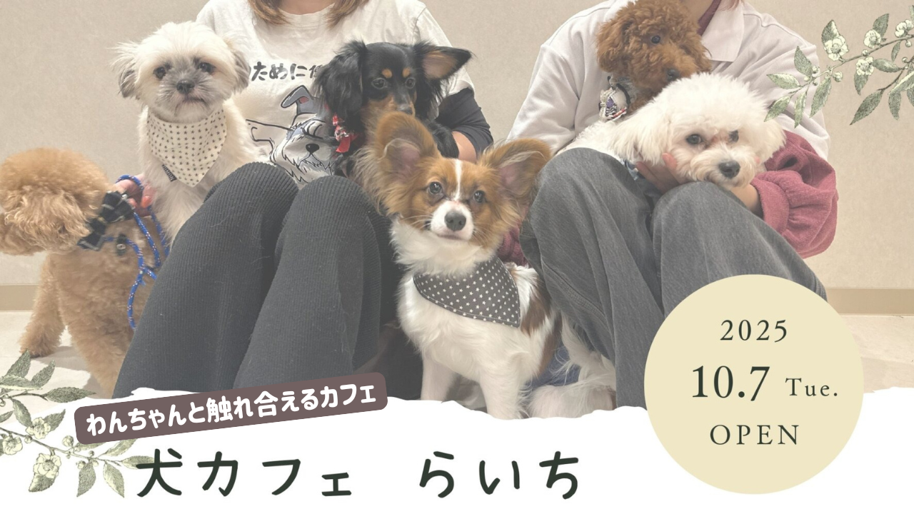 犬カフェ 本厚木 厚木市