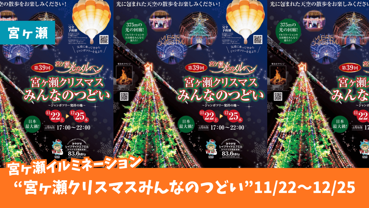 宮ヶ瀬 イルミネーション 清川村
