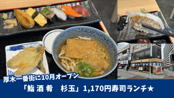 杉玉　寿司　本厚木　ランチ