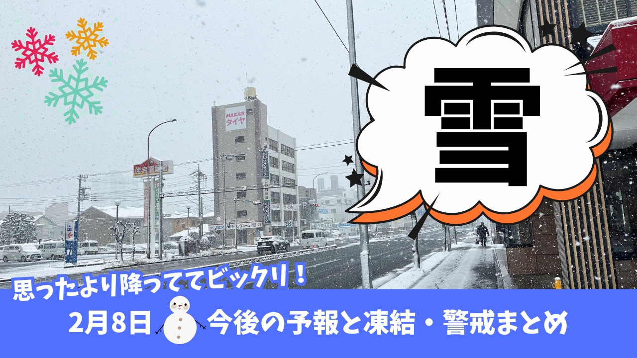 雪　積雪　厚木　本厚木