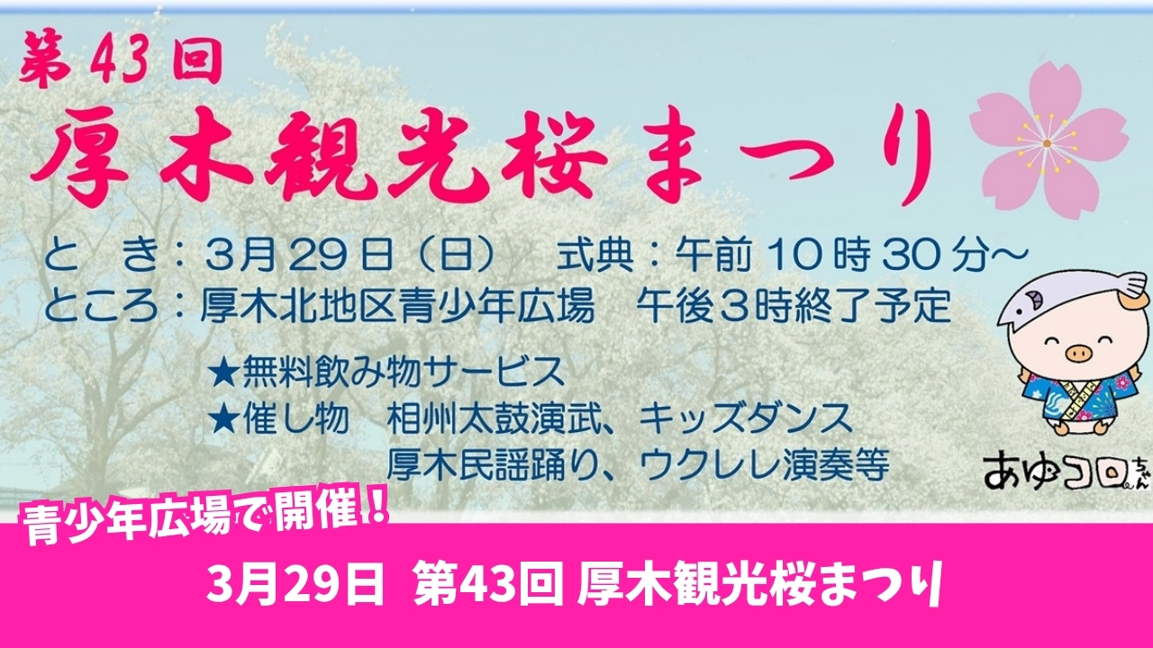 イベント　花見　桜　厚木　観光　本厚木
