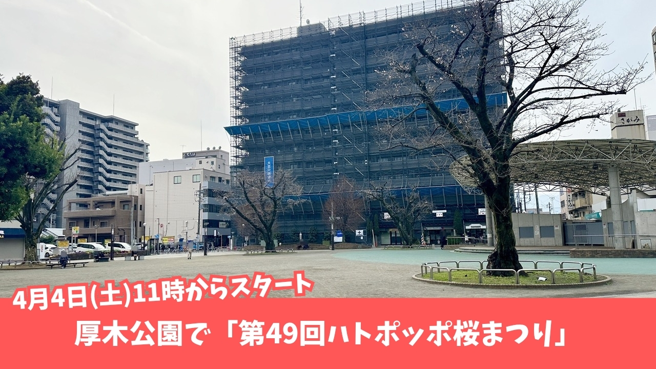 はとぽっぽ公園　厚木公園　イベント　桜　花見　厚木　本厚木