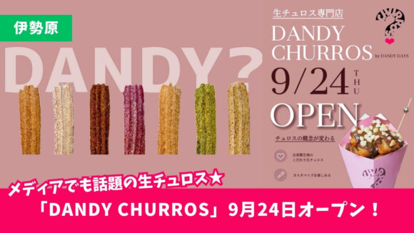 生チュロス　伊勢原　開店　ダンディーチュロス