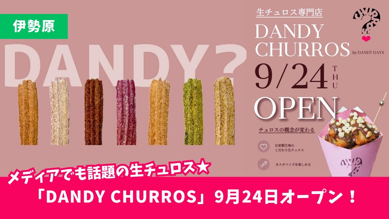 生チュロス　伊勢原　開店　ダンディーチュロス
