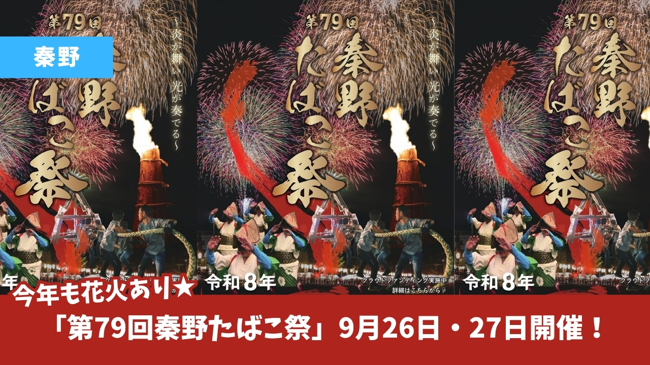 秦野 たばこ祭り 花火 イベント