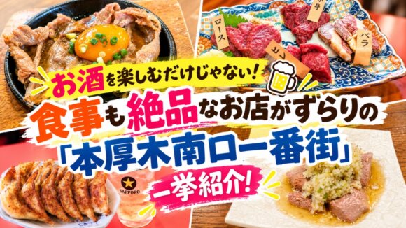 本厚木　南口一番街　居酒屋　和牛　馬刺　餃子　ビール　やきとん　飲み屋
