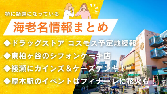 海老名　コスモス　シフォンケーキ　カインズ　ケーズデンキ　花火　イベント