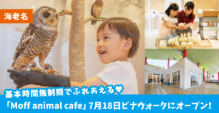 【開店・海老名】時間無制限でたくさんの動物とふれあえるカフェ☆「Moff animal cafe」7月18日ビナウォークにオープン！
