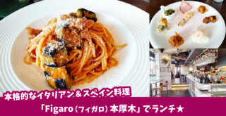 本格的なイタリアン＆スペイン料理が楽しめるFigaro（フィガロ）パスタ　本厚木