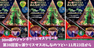 宮ヶ瀬イルミネーションクリスマス