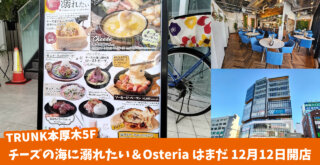 「チーズの海に溺れたい」＆「Osteria はまだ」本厚木駅前にオープン