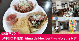 メキシコ料理　タコス　厚木市中町　本厚木