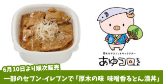 豚漬け　厚木　セブン－イレブン　丼