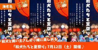 海老名　イベント　犬　夏祭り