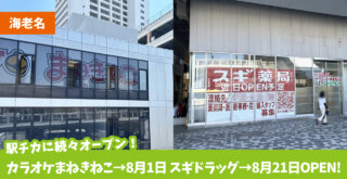 海老名　海老名駅　開店　スギドラッグ　まねきねこ