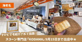 KODAMA　スコーン　ららぽーと海老名　海老名駅