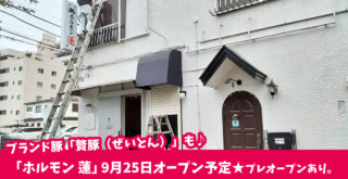 ホルモン　厚木　開店