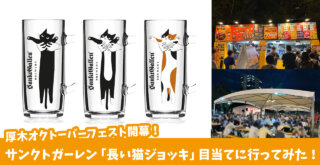 長い猫ジョッキ　サンクトガーレン　厚木オクトーバーフェスト
