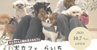 犬カフェ 本厚木 厚木市