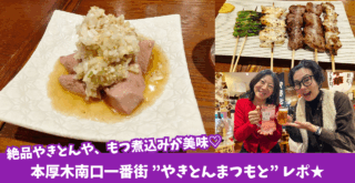 やきとん　本厚木　居酒屋　飲み会　一人呑み　せんべろ