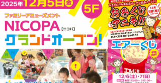 ニコパ アミューズメント ゲームセンター 本厚木 厚木