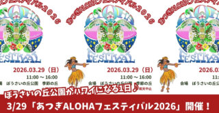 厚木　ハワイ　フラダンス　イベント　ぼうさいの丘公園