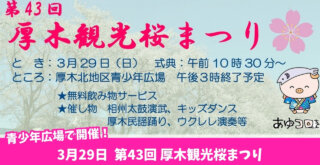 イベント 花見 桜 厚木 観光 本厚木