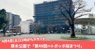 はとぽっぽ公園　厚木公園　イベント　桜　花見　厚木　本厚木