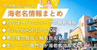 海老名 情報 生ドーナツ イベント ちいかわ 昆虫 カブトムシ クワガタ ららぽーと海老名