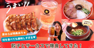 餃子とサーカス　餃子　居酒屋　中華　本厚木　ハイボール