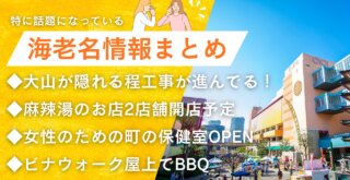 海老名　情報　麻辣湯　開店　工事　ビナガーデンズ　薬局　BBQ