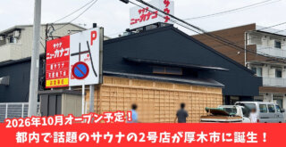 サウナ　ニューカナコ　本厚木　厚木　開店　オープン　水風呂　サ活