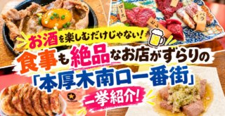 本厚木　南口一番街　居酒屋　和牛　馬刺　餃子　ビール　やきとん　飲み屋