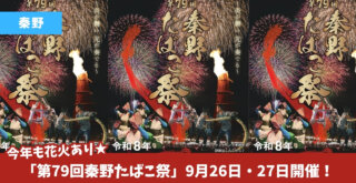 秦野 たばこ祭り 花火 イベント