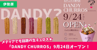 生チュロス 伊勢原 開店 ダンディーチュロス