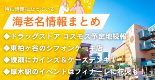 海老名　コスモス　シフォンケーキ　カインズ　ケーズデンキ　花火　イベント